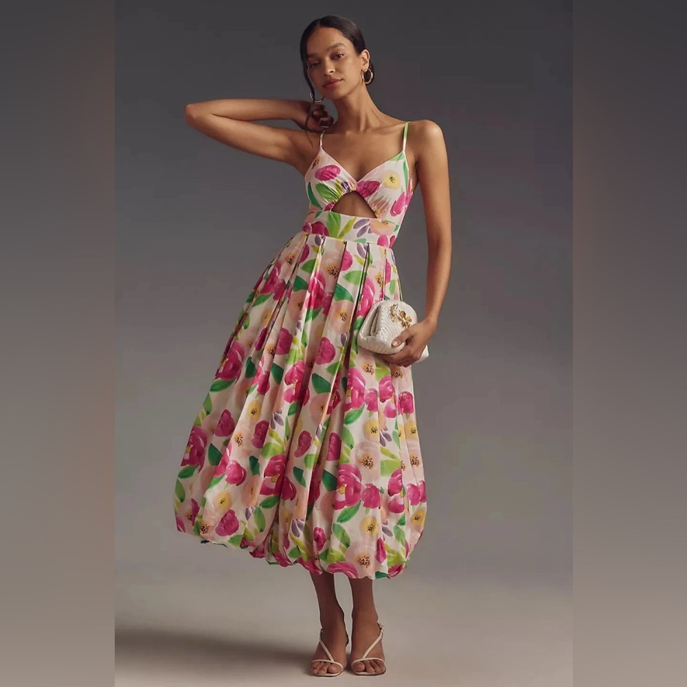 Hutch Floral Garden Sleeveless V-Neck Cutout Balloon Midi Dress Small Garden NWT